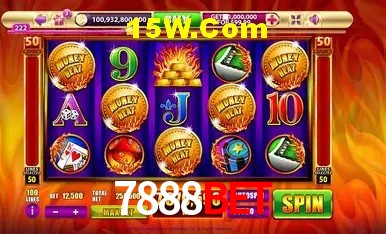 7888Bet - User Statistics